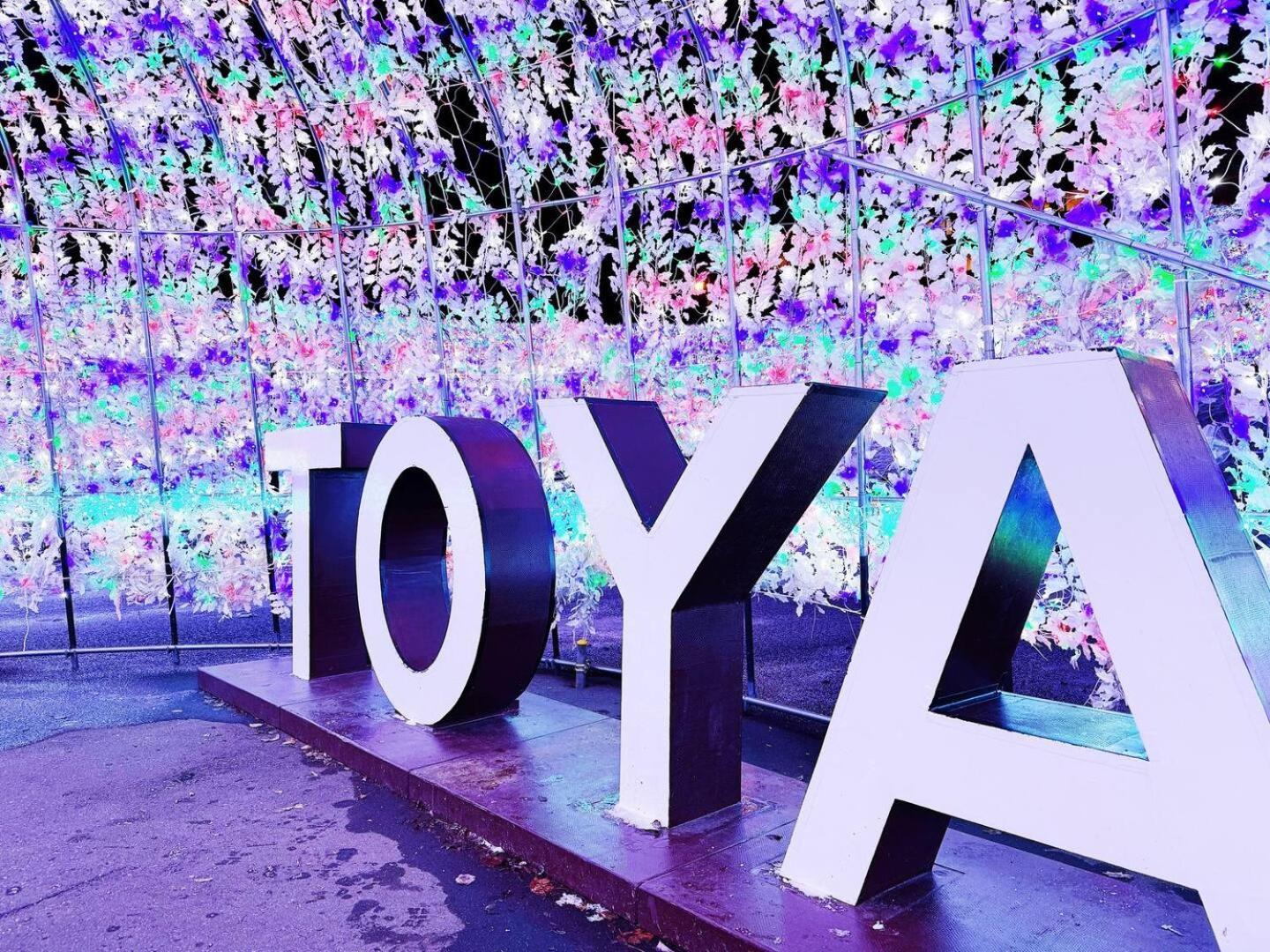 Kamonoya Toya